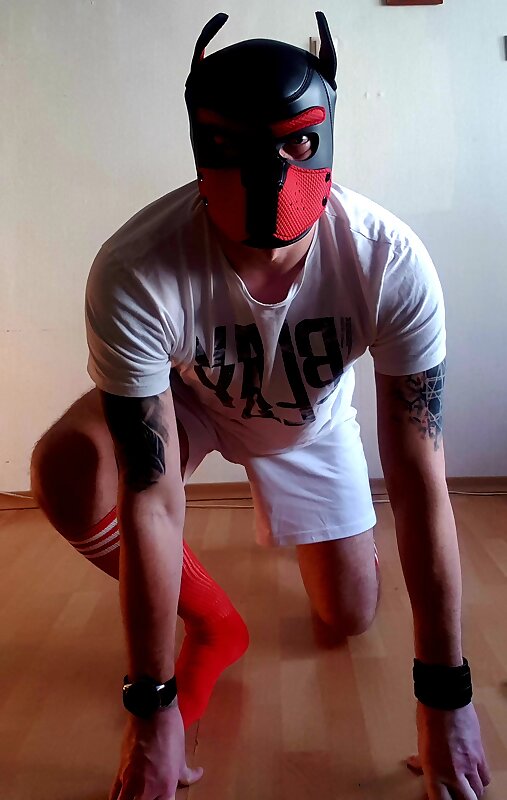 Next Image >>