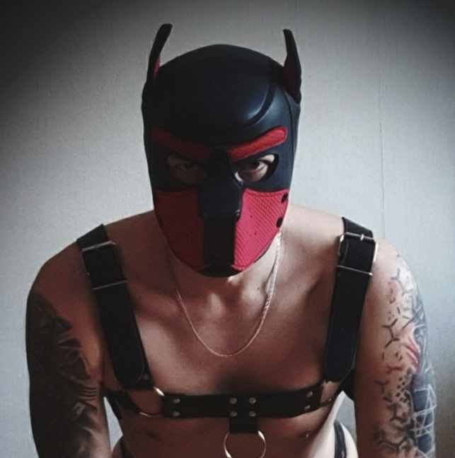 Next Image >>