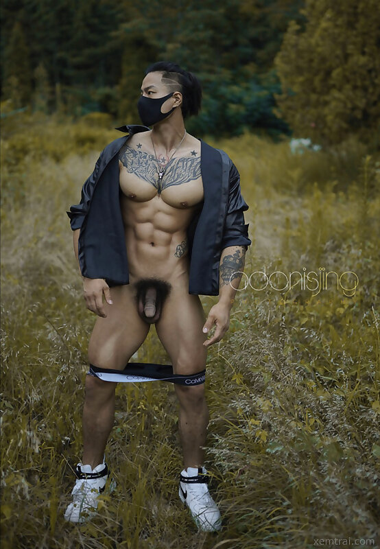 Next Image >>