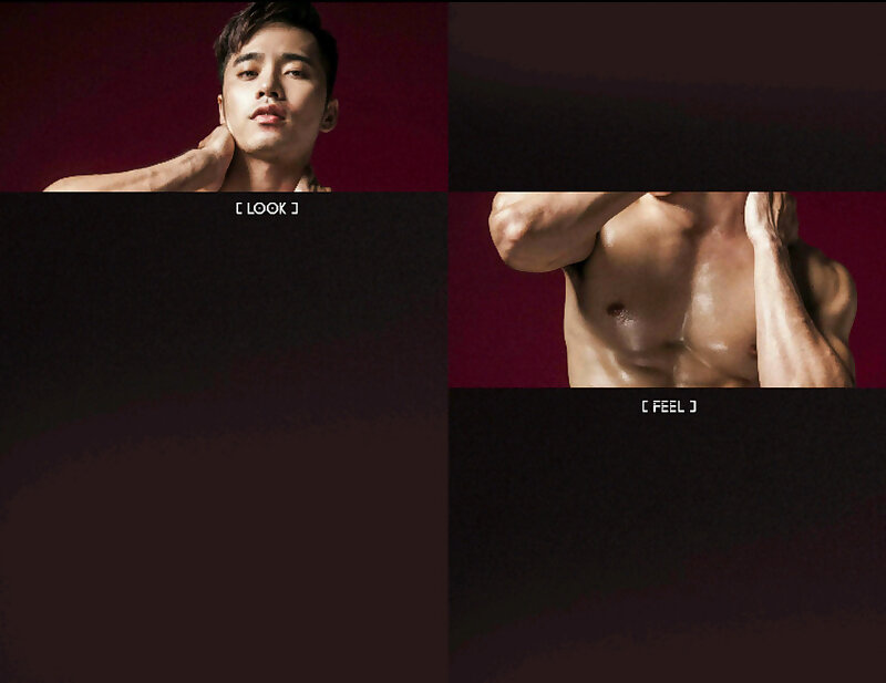 Next Image >>
