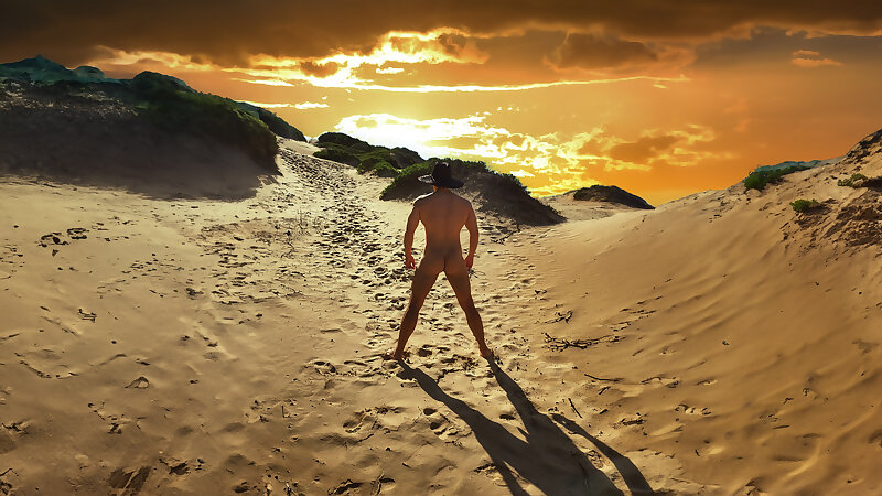 Next Image >>