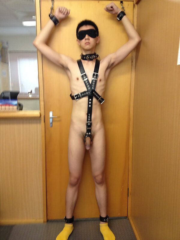 Next Image >>