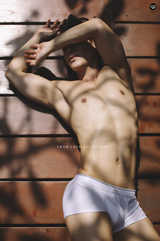Next Image >>