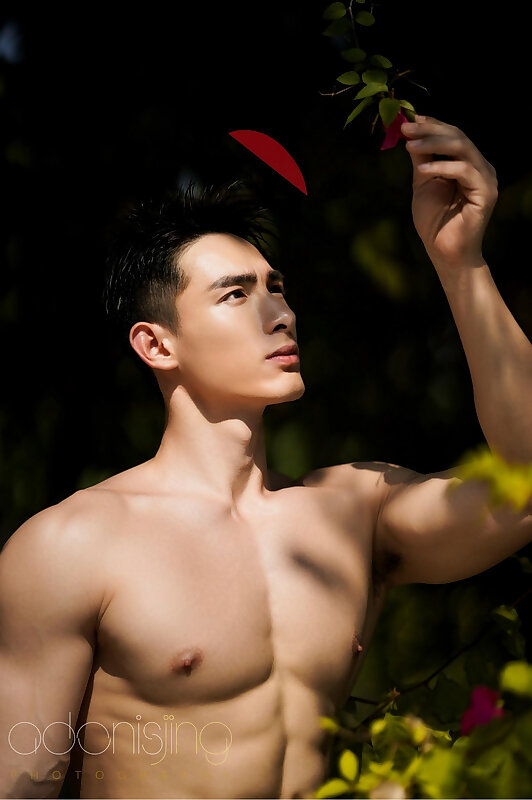 Next Image >>