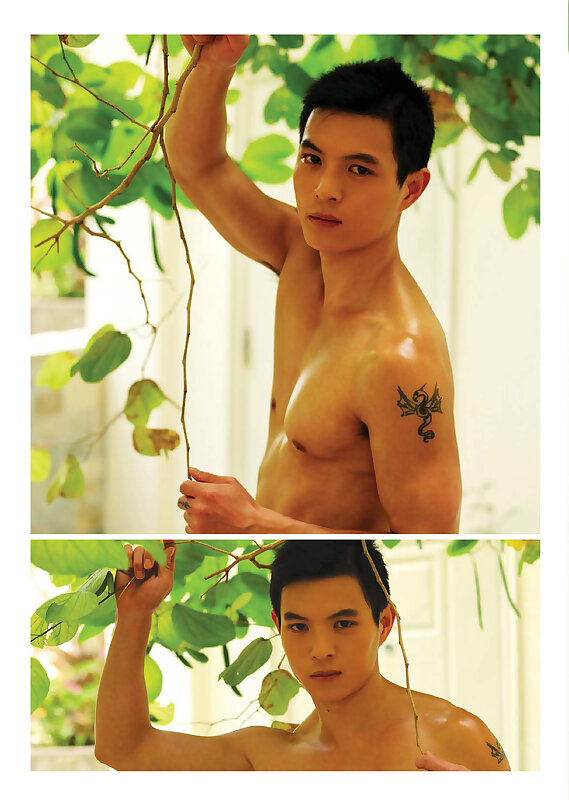 Next Image >>