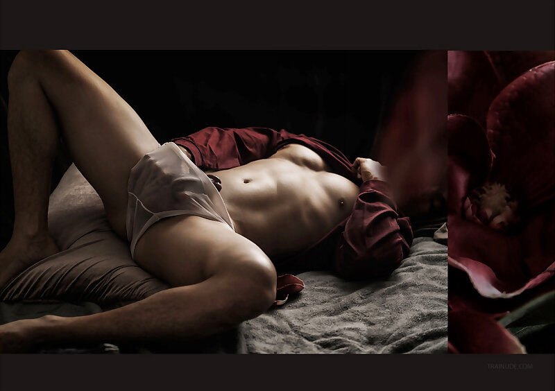 Next Image >>