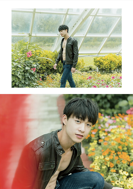 Next Image >>