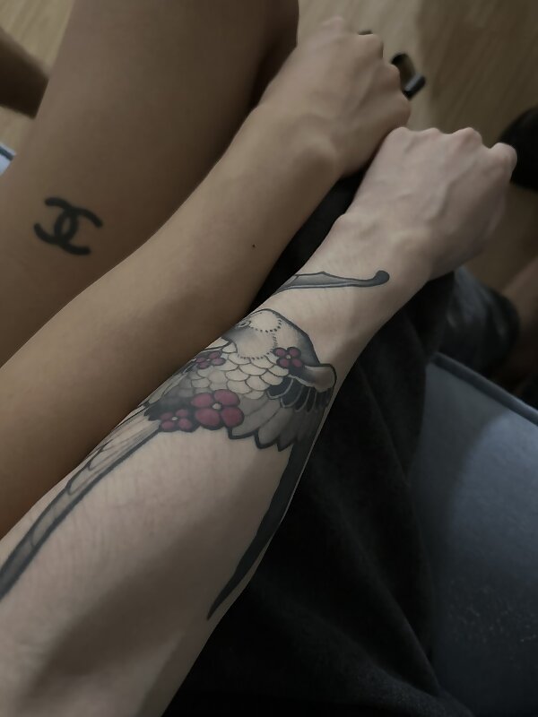 Next Image >>