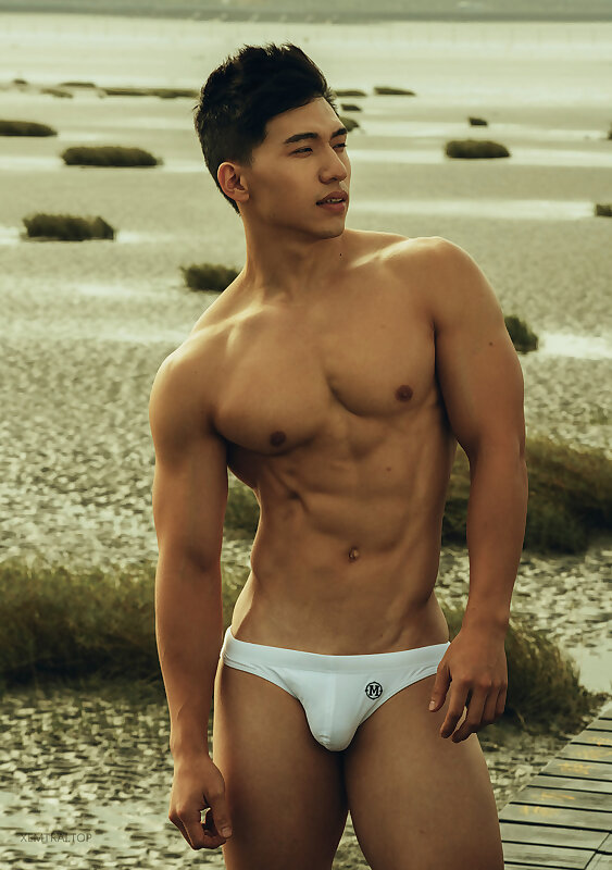 Next Image >>