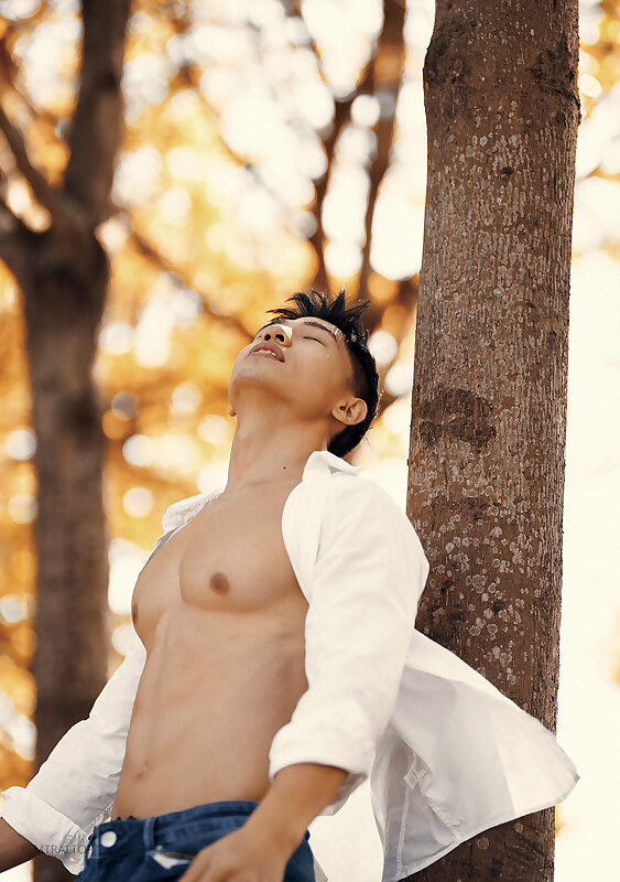 Next Image >>
