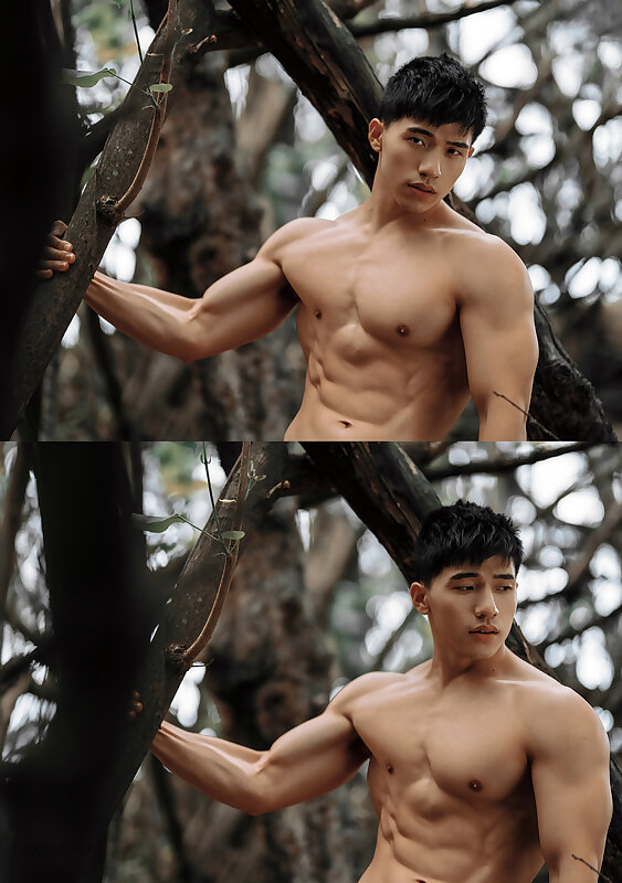 Next Image >>
