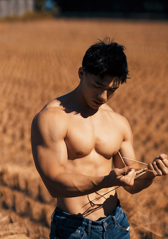Next Image >>