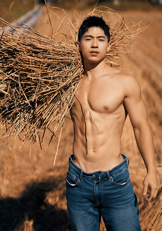 Next Image >>