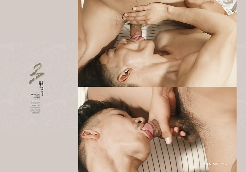 Next Image >>