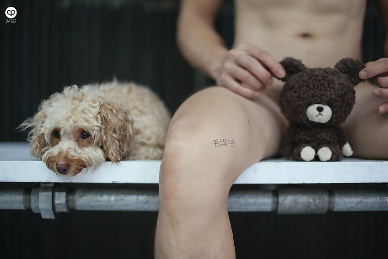 Next Image >>