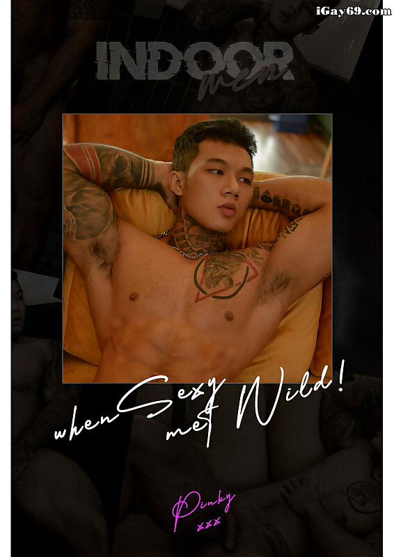 Next Image >>