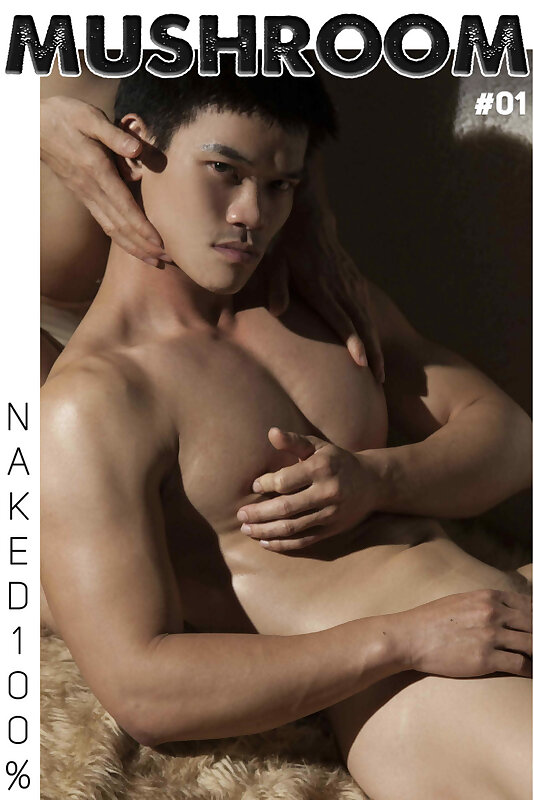 Next Image >>