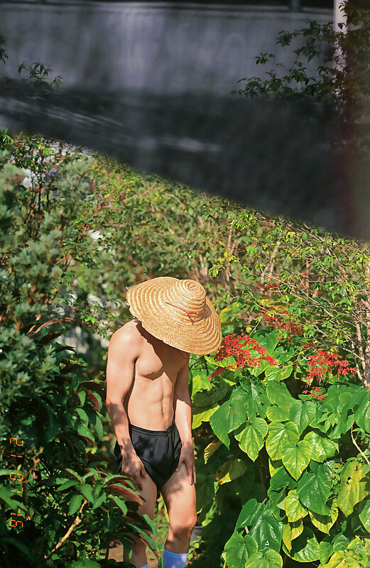 Next Image >>