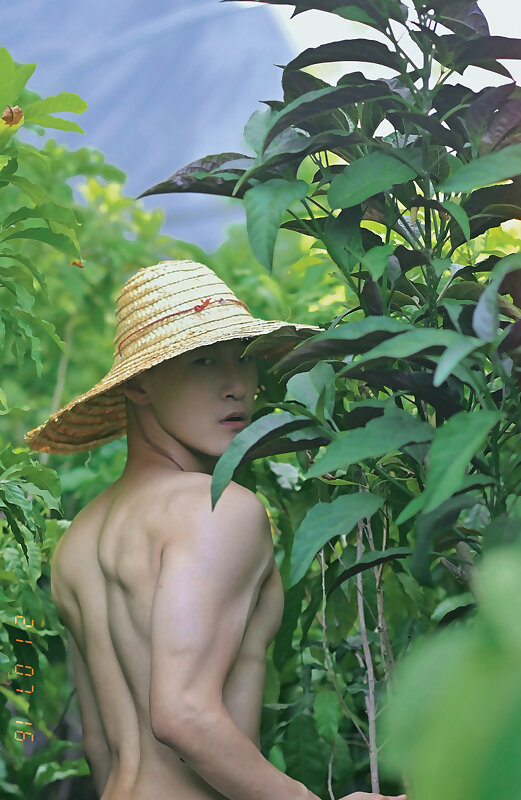 Next Image >>