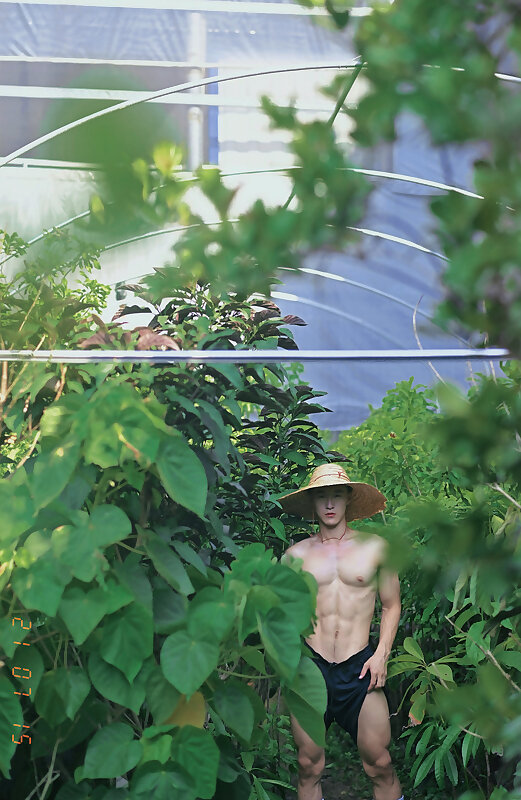 Next Image >>