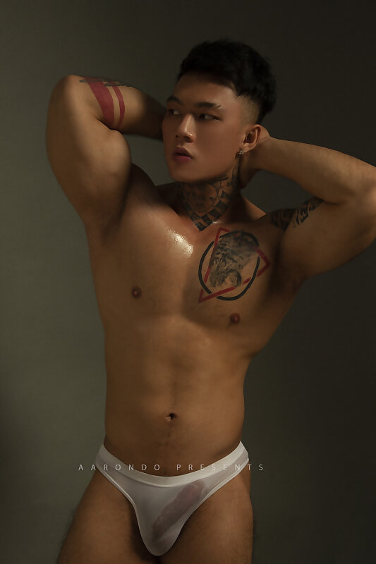 Next Image >>