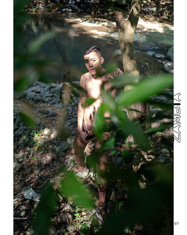 Next Image >>