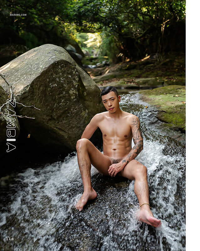 Next Image >>