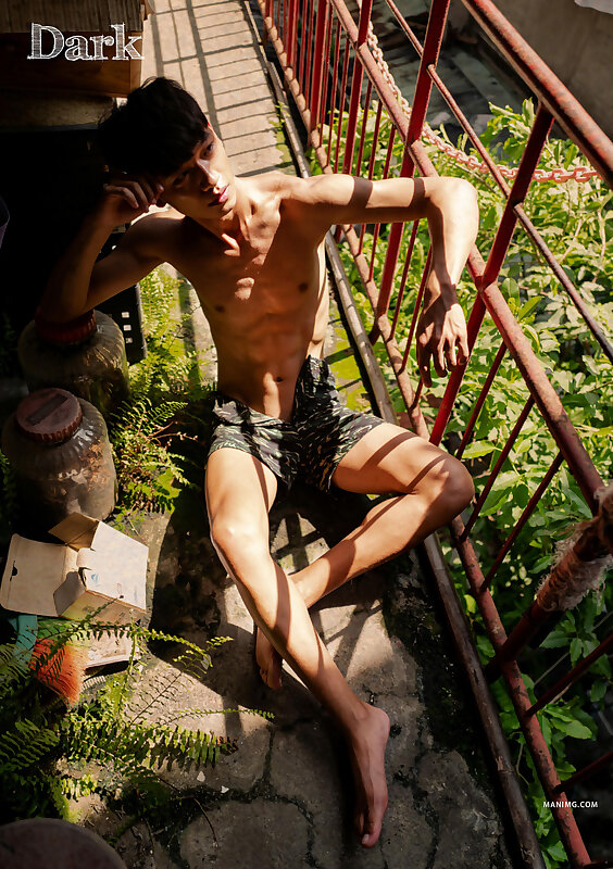 Next Image >>