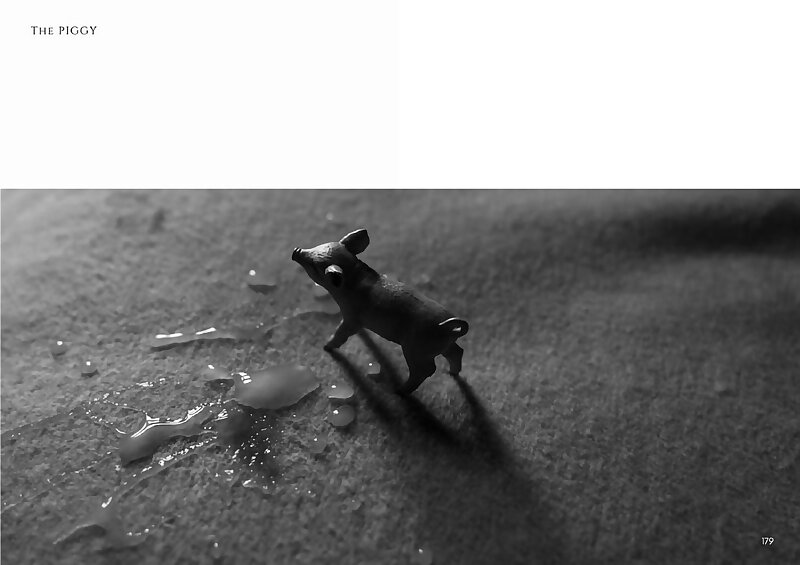 Next Image >>