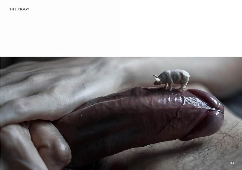 Next Image >>
