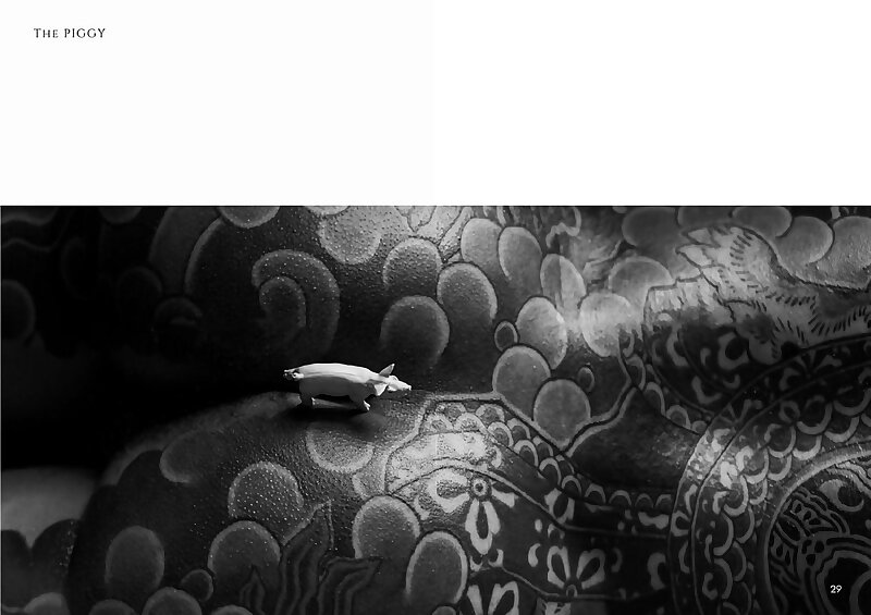 Next Image >>