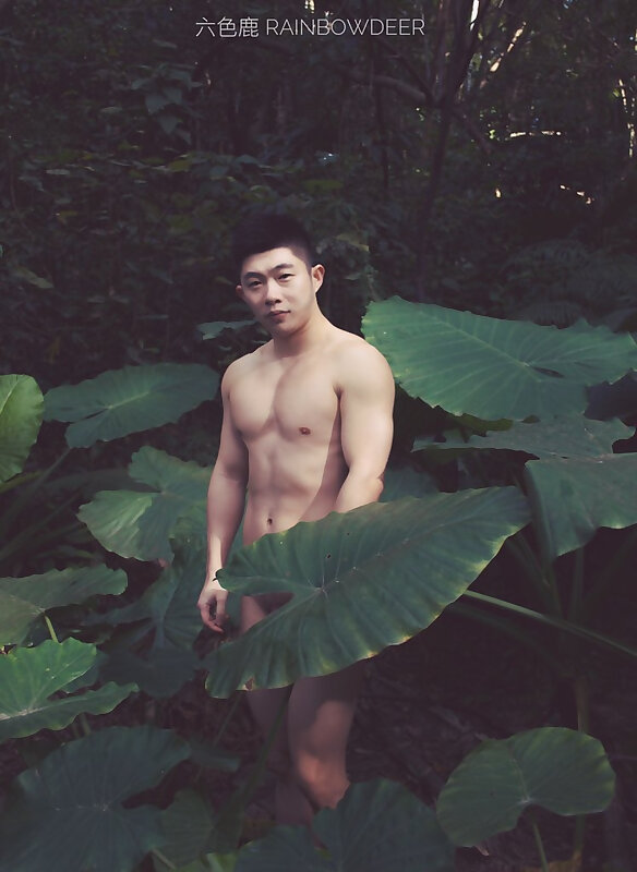 Next Image >>