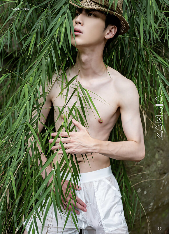 Next Image >>