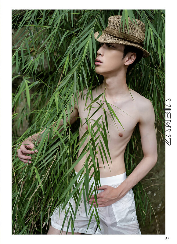 Next Image >>