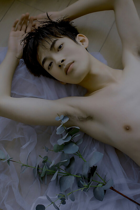 Next Image >>