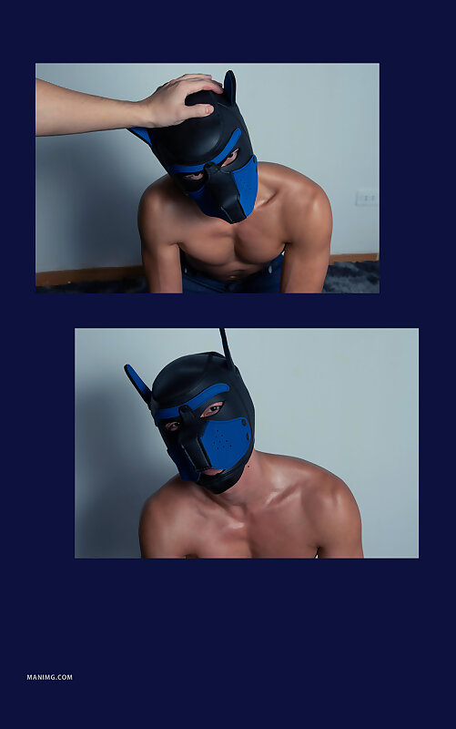 Next Image >>