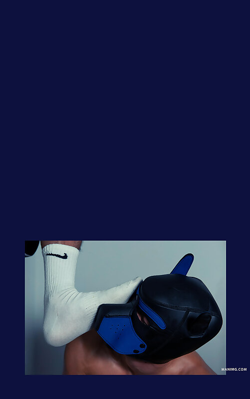 Next Image >>
