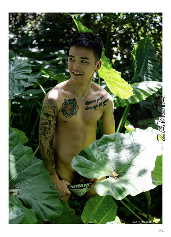 Next Image >>