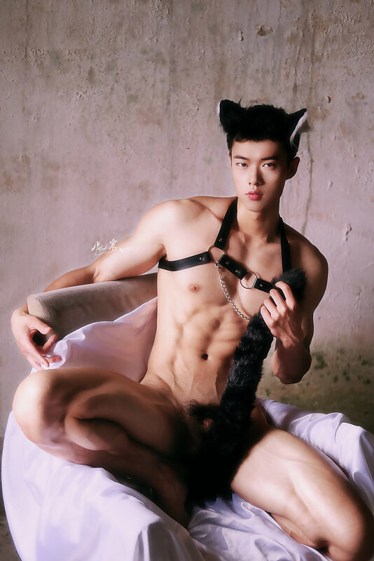 Next Image >>