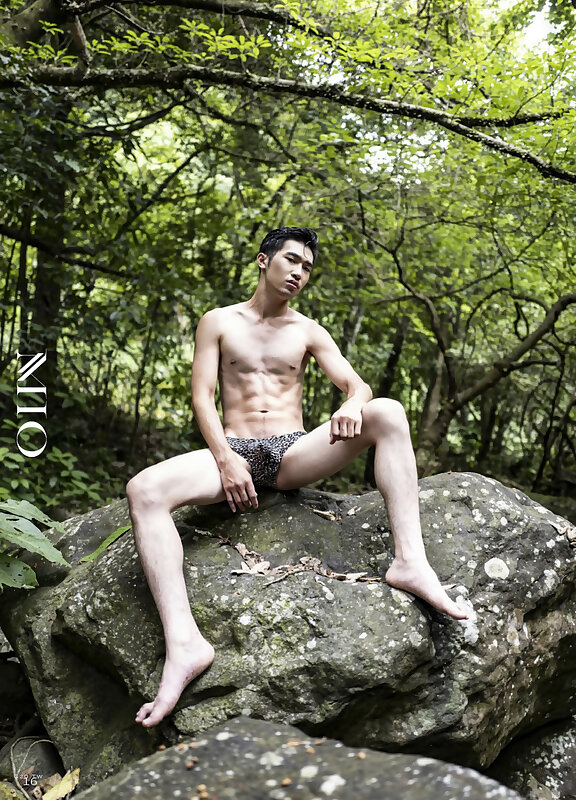 Next Image >>