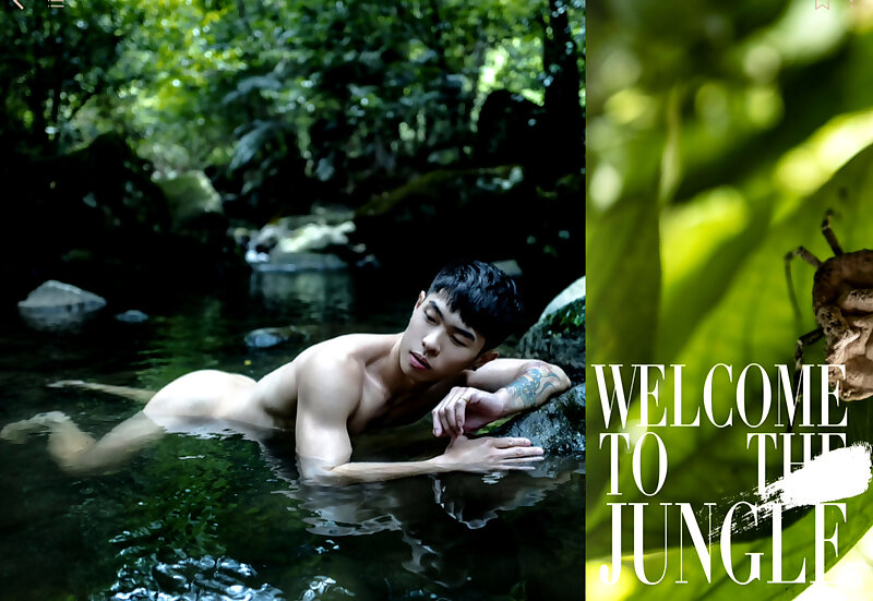 Next Image >>