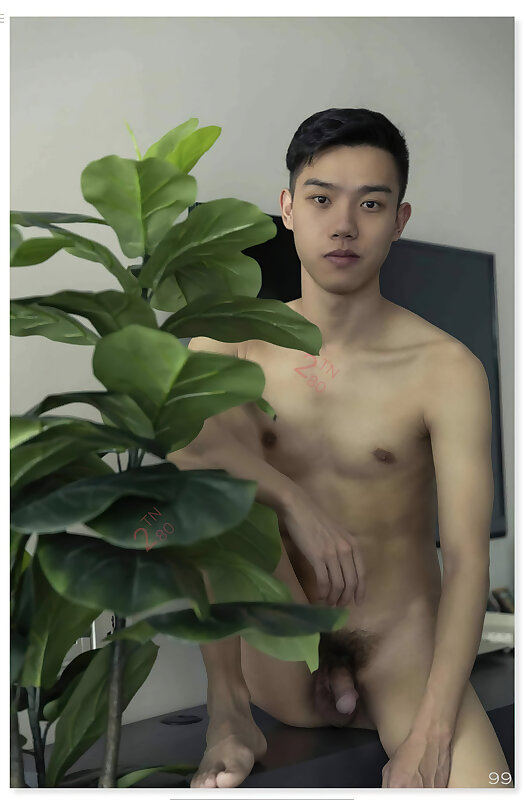 Next Image >>