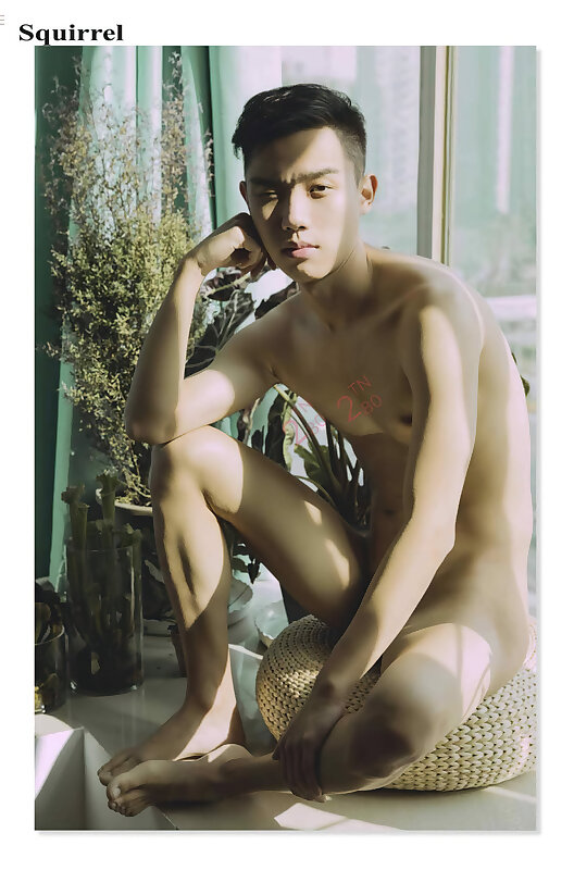 Next Image >>