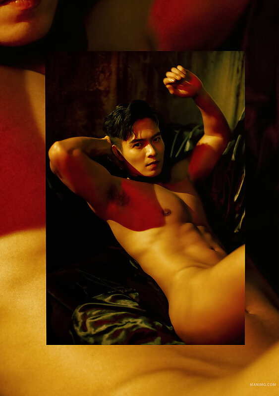 Next Image >>
