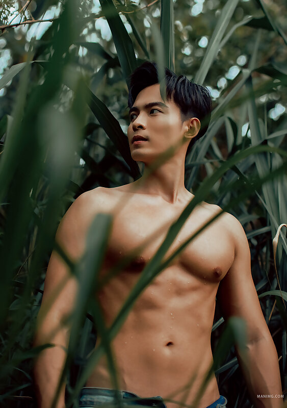 Next Image >>