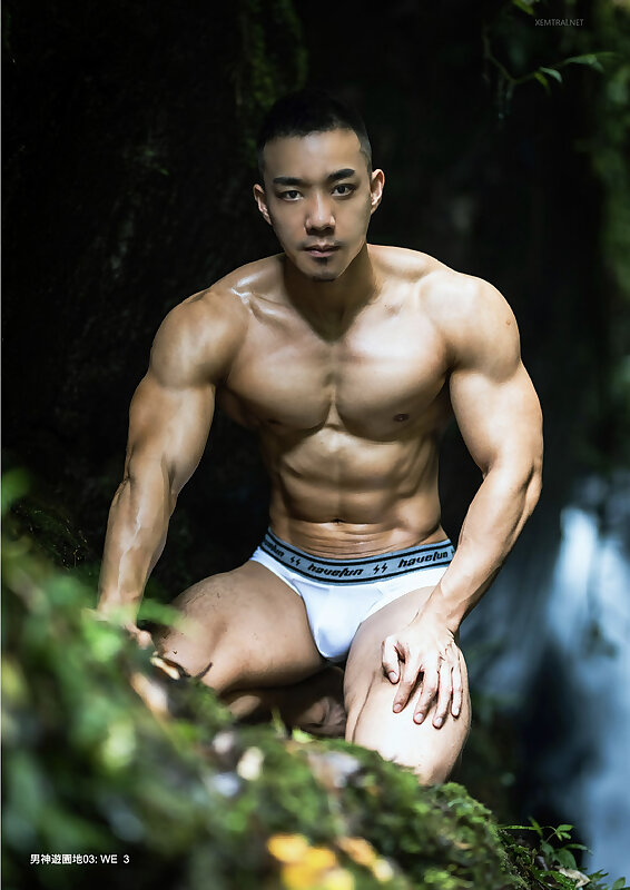 Next Image >>