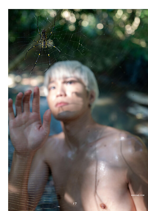 Next Image >>