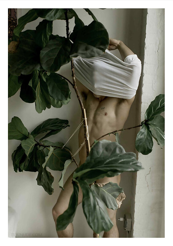 Next Image >>
