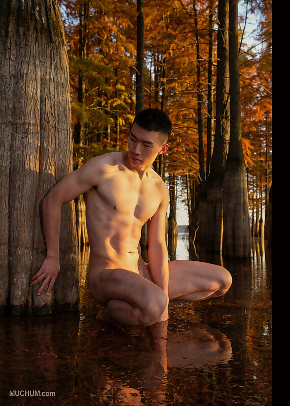 Next Image >>