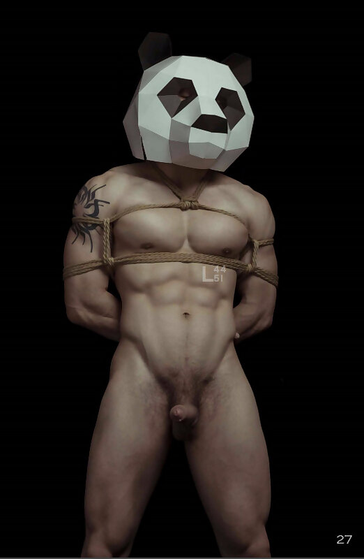 Next Image >>